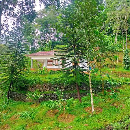 Anivilla Holiday Home Kunjithanny Anachal Εξωτερικό φωτογραφία
